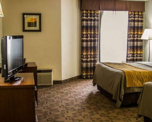 Hotel Comfort Inn Birch Run