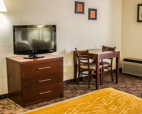 Hotel Comfort Inn Birch Run