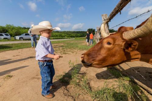 Hotel Wildcatter Ranch And Resort