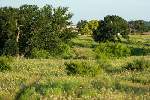 Hotel Wildcatter Ranch And Resort