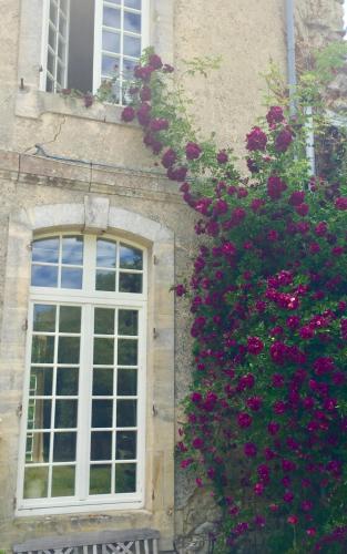 L'orangerie Du Grand Jardin