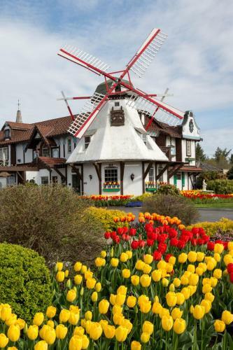 Motel Auld Holland Inn