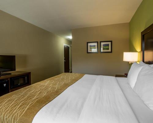 Hotel Comfort Inn - Sylva/dillsboro