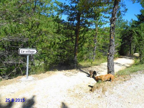 Hostal La Petite Bergerie In Dr�me Proven�ale