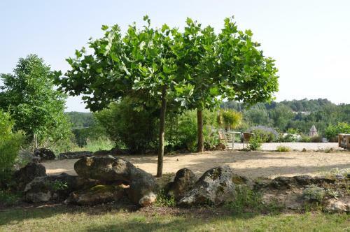 Hostal Ch�teau Le Tour - Chambres D'h�tes