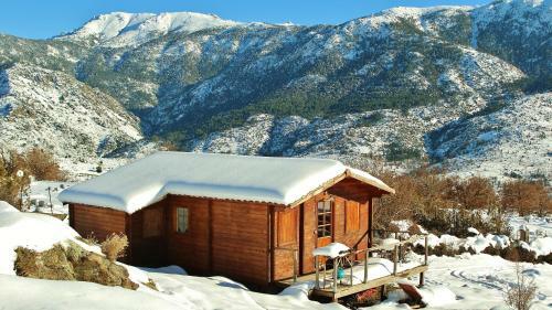Les Chalets De Lozzi