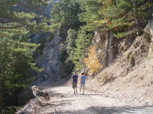 Bed & Breakfast L'escleriade