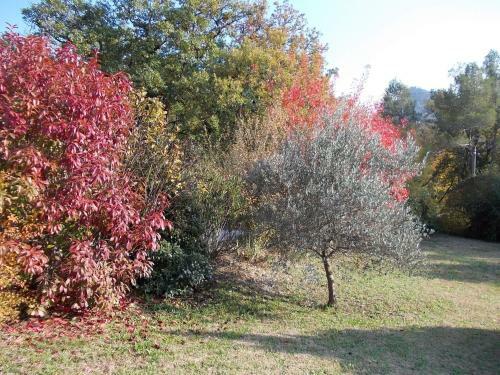 Bed & Breakfast L'escleriade
