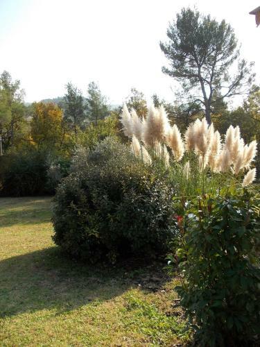Bed & Breakfast L'escleriade