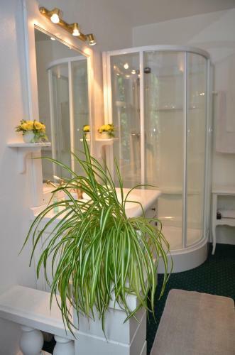 Bed & Breakfast Maison De Benedicte