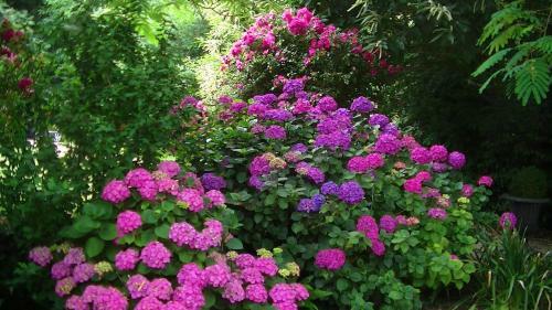 Bed & Breakfast Le Petit Manoir De K�riolet
