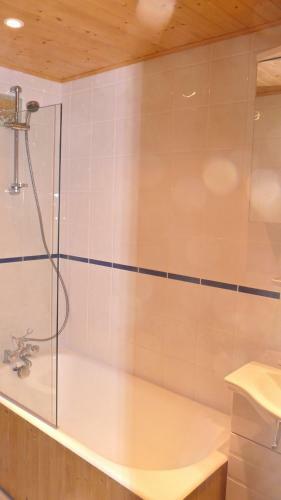 Apartamento Appartements Chatel Linga