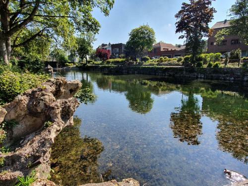 Le Jardin Minelle