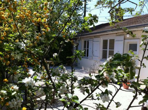 Apartamentos L'annexe Du 8