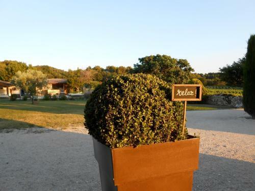 Mas Pichony - Maison D'h�tes - B&B