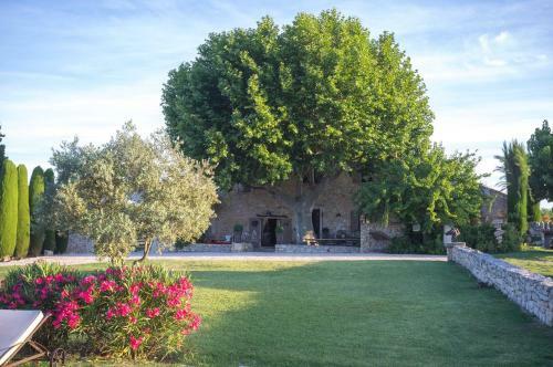 Mas Pichony - Maison D'h�tes - B&B