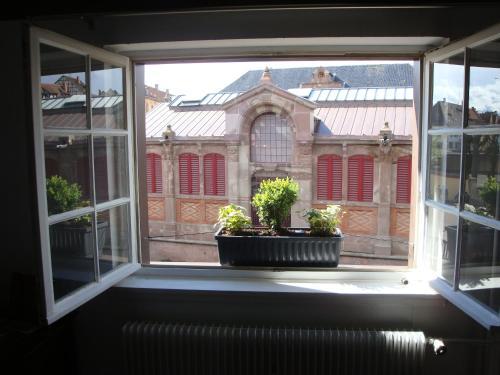 Apartamento Sur Les Quais De Colmar Avec Parking