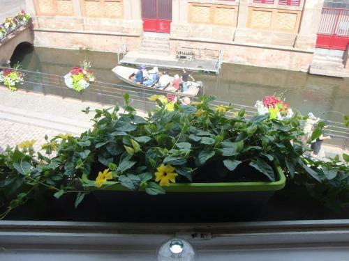 Apartamento Sur Les Quais De Colmar Avec Parking