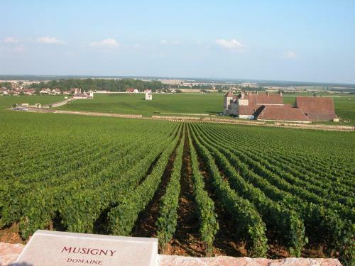 Hotel De Vougeot