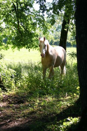 Bed & Breakfast Maison D'h�tes Domaine De Bernou