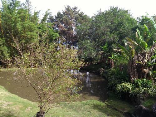 Hostal Pousada C�u De Luz