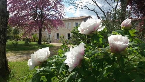 Bed & Breakfast Domaine Du Papillon