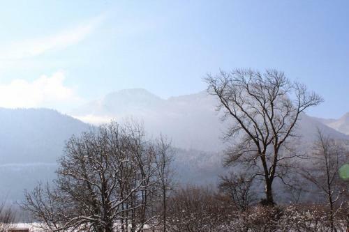 Apartamento Entre Lac Et Montagnes