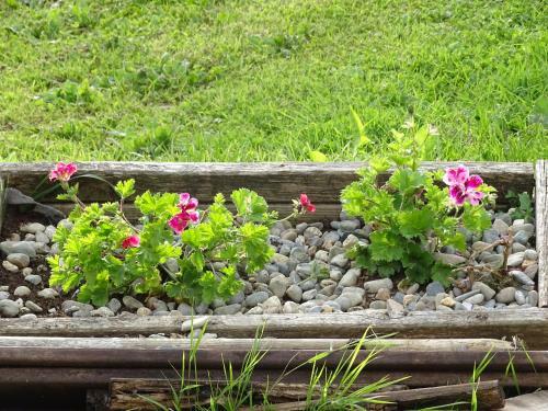 Hostal Les Chalets D'h�tes Esprit Nature