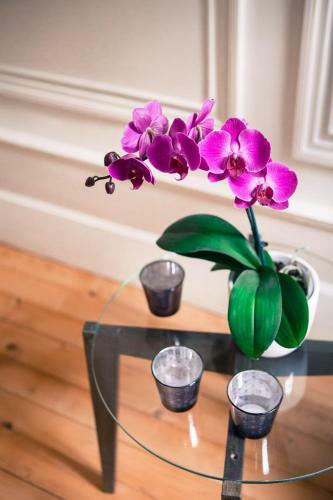 Bed & Breakfast Chambres D'hotes La Chartreuse Des Eyres