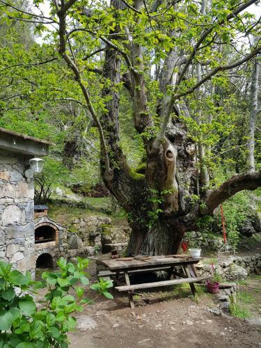 Bed & Breakfast Chambre D'h�te "chez Antoinette Et Charles"