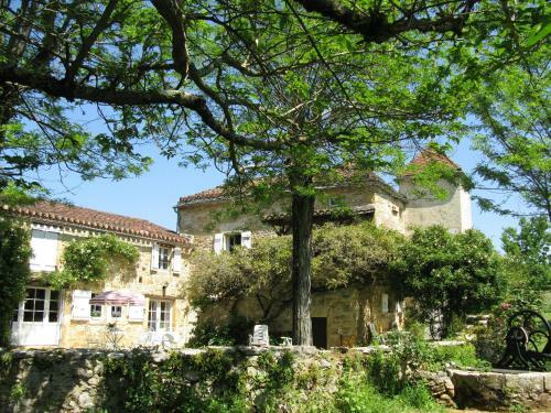 Bed & Breakfast La Theroniere