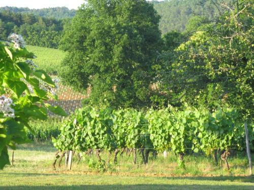 Bed & Breakfast La Theroniere