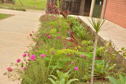 Agroturismo Sitio Castelinho