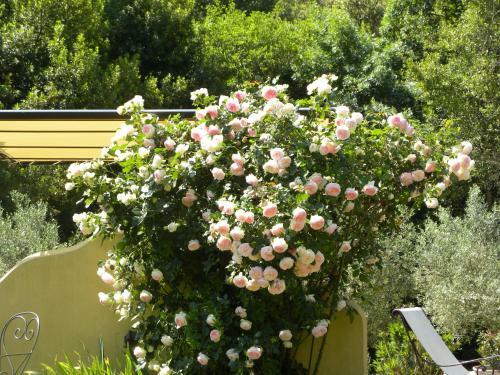Bed & Breakfast La Bergerie