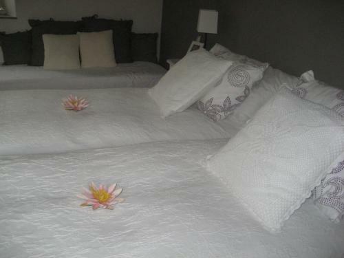 Bed & Breakfast Kervaillant