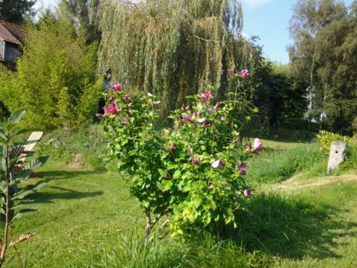 Bed & Breakfast Kervaillant