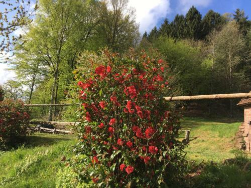 Hostal Les Chambres D'h�tes De Gabrielle
