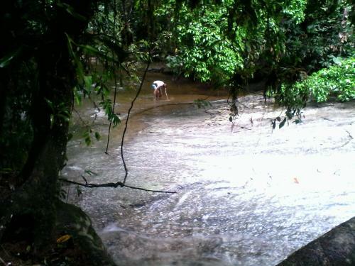 Hostel Pai Jos�