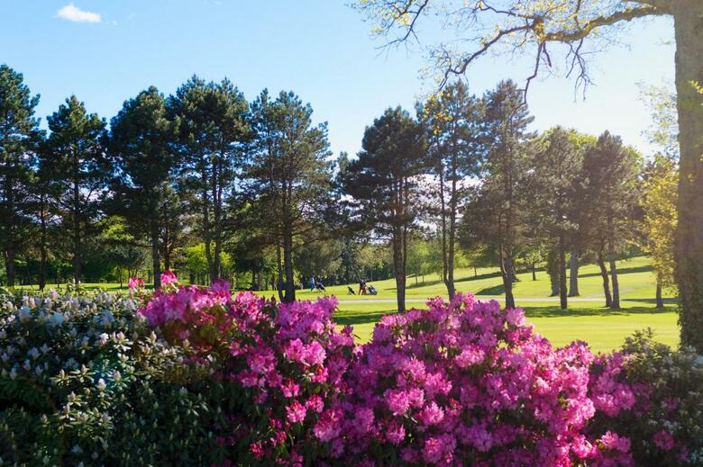 Hotel St Malo Golf Resort