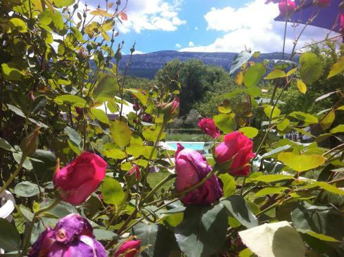 Bed & Breakfast La Grande Maison De Nans
