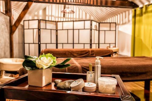 Aparthotel R�sid'spa Loire & S�vre