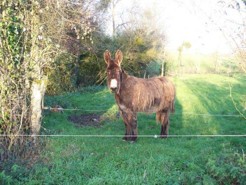 Bed & Breakfast La Genoise