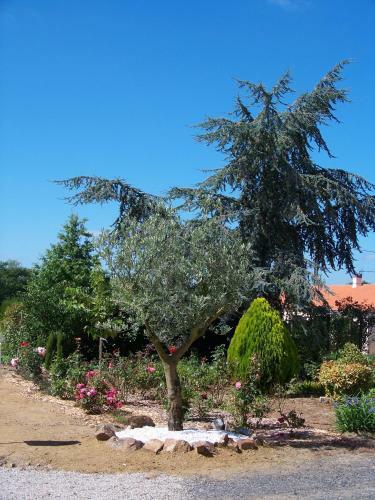Bed & Breakfast La Genoise