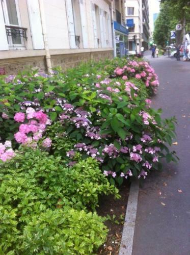 Bed & Breakfast Chambres D'h�tes Chez B�r�nice