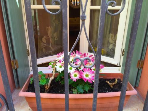 Apartamento Myperpignan