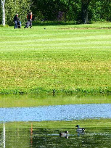 Hotel Anjou Golf And Country Club