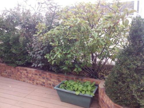 Bed & Breakfast Chambres D'h�tes Issy-paris