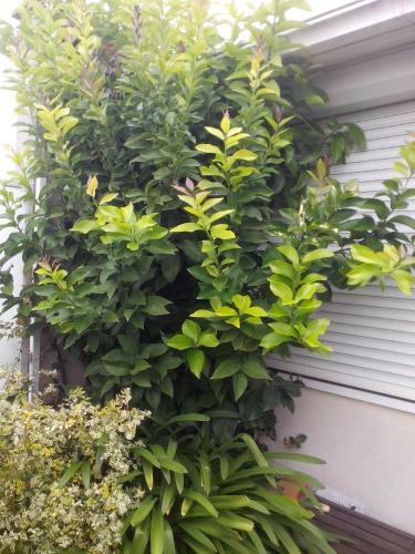 Bed & Breakfast Chambres D'h�tes Issy-paris