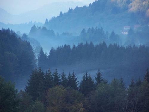 Bed & Breakfast Villa Moncoeur
