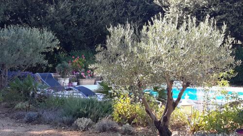 Bed & Breakfast L'abrialys
